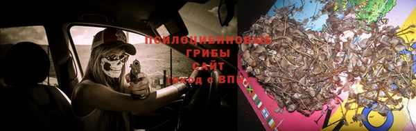 герыч Вязники