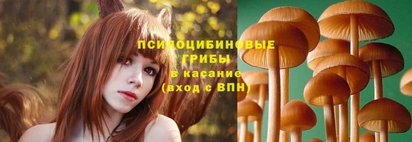 тгк Вяземский