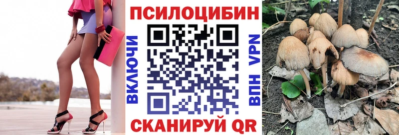 Купить закладки  Малаховка  Галлюциногенные грибы ЛСД 