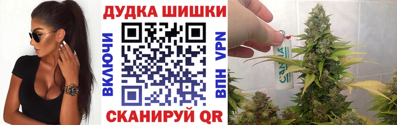 Купить закладки  Малаховка  Канабис индика 